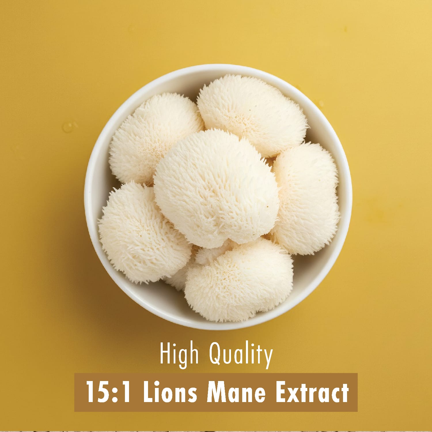 Ultra Lions Mane Tablets