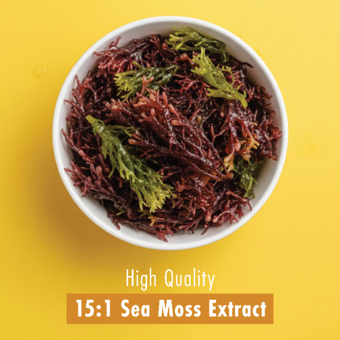 Ultra Sea Moss Tablets